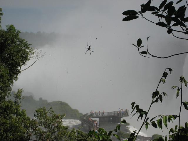 IMG_1423.JPG - Brasilien Parana Foz do IguacuGarganto do Diablo