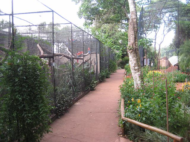 IMG_1481.JPG - Brasilien Parana Foz do IguacuParque das Aves/Vogelpark