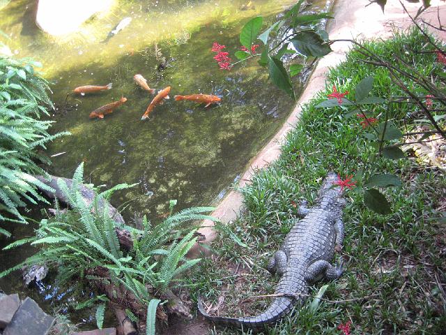 IMG_1503.JPG - Brasilien Parana Foz do IguacuParque das Aves/Vogelpark