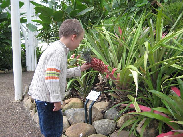 IMG_0392.JPG - Brasilien Parana CuritibaJardim Botanico