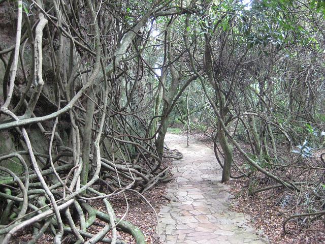 IMG_0487.JPG - Brasilien ParanaParque Estadual de Vila Velha