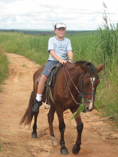 IMG_2977.JPG - Brasilien PernambucoEngenho Cueirinha