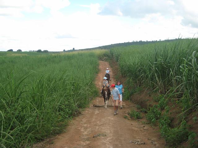 IMG_2981.JPG - Brasilien PernambucoEngenho Cueirinha