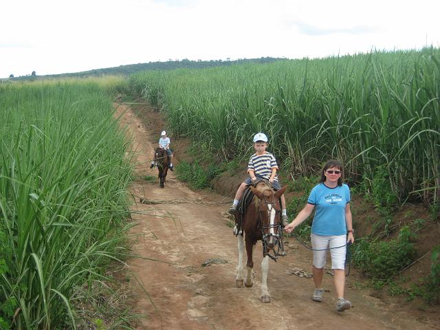 IMG_2982.JPG - Brasilien PernambucoEngenho Cueirinha