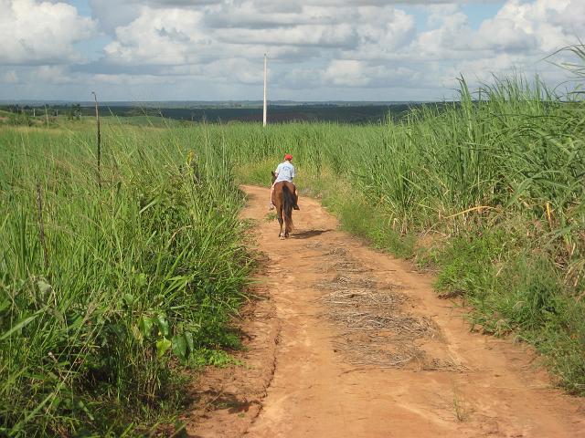 IMG_3001.JPG - Brasilien PernambucoEngenho Cueirinha