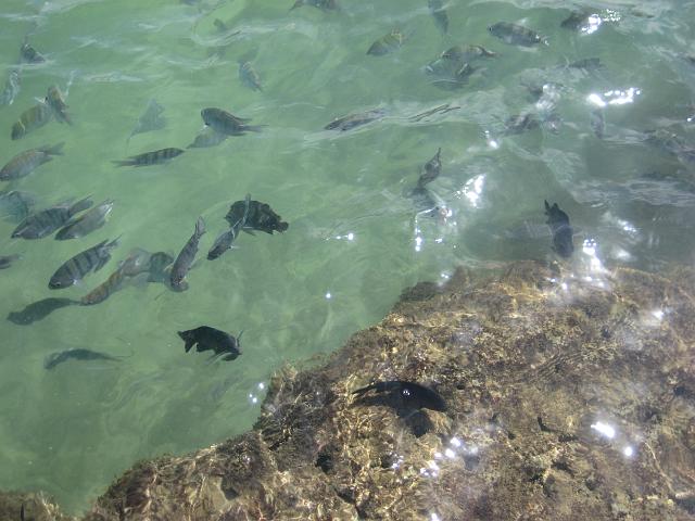 IMG_2702.JPG - Brasilien PernambucoPorto de Galinhas