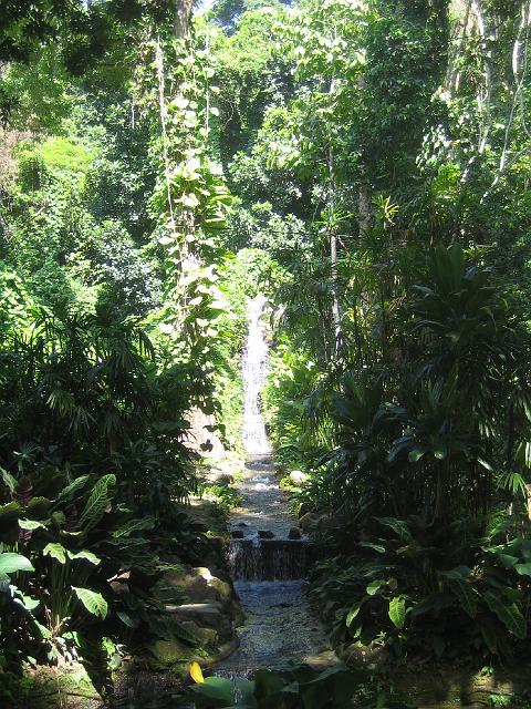 IMG_4658.JPG - BrasilienRio de JaneiroJardim Botanico
