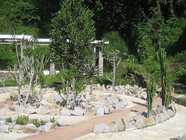 IMG_4659.JPG - BrasilienRio de JaneiroJardim Botanico