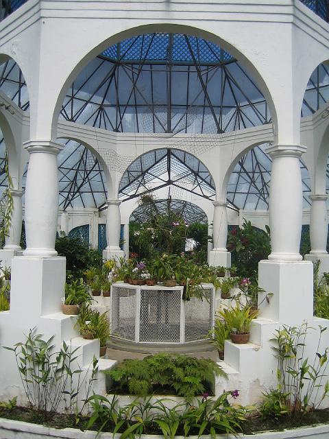 IMG_4671.JPG - BrasilienRio de JaneiroJardim Botanico