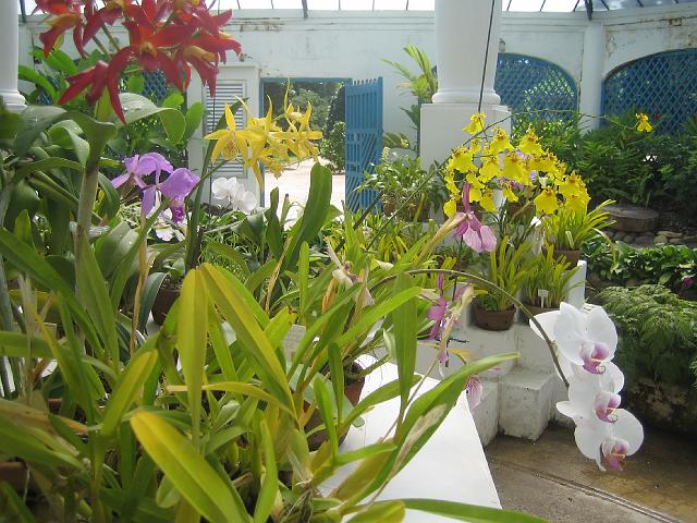 IMG_4674.JPG - BrasilienRio de JaneiroJardim Botanico