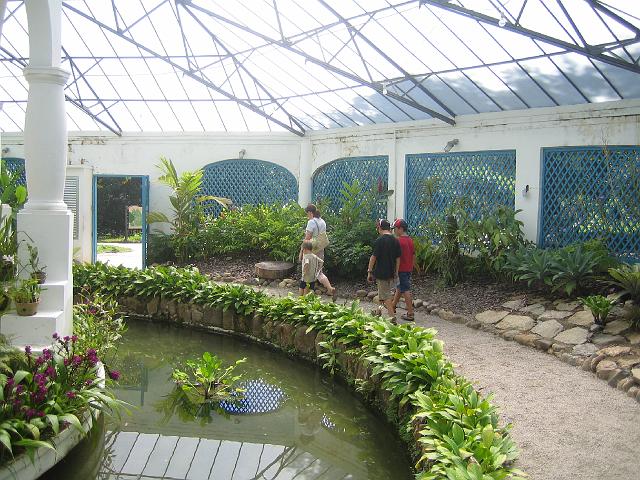 IMG_4689.JPG - BrasilienRio de JaneiroJardim Botanico