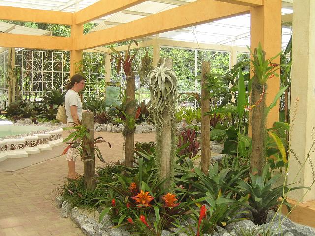 IMG_4697.JPG - BrasilienRio de JaneiroJardim Botanico