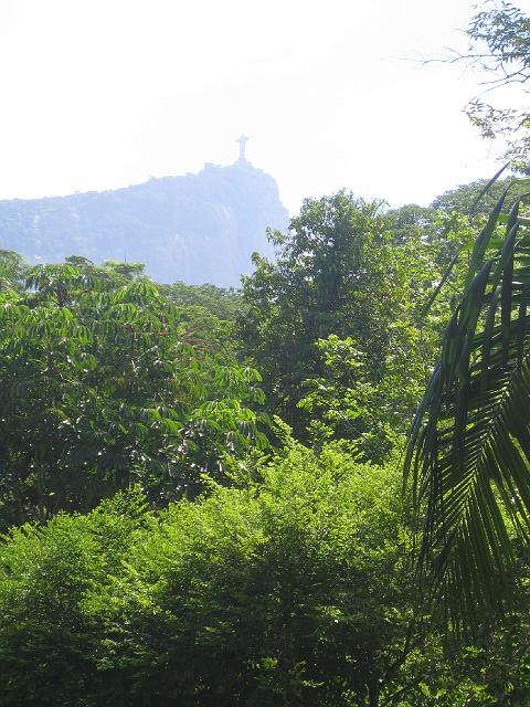 IMG_4709.JPG - BrasilienRio de JaneiroJardim Botanico