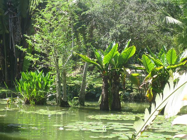 IMG_4713.JPG - BrasilienRio de JaneiroJardim Botanico