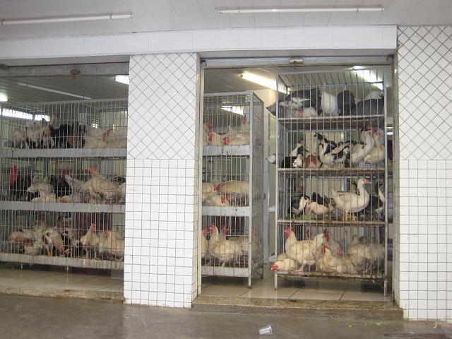 IMG_2044.JPG - Brasilien Rio de JaneiroRocinha