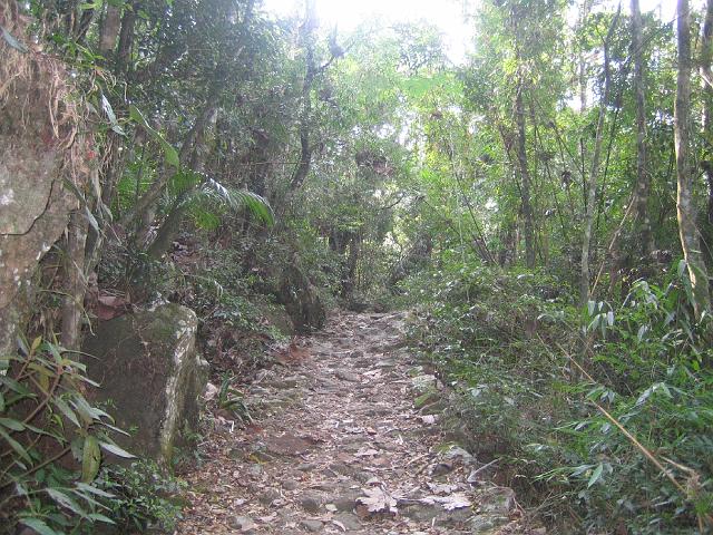 IMG_6608.JPG - TeresopolisParque Nacional da Serra dos Orgaos