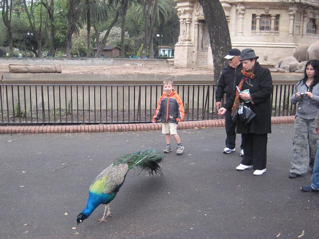 IMG_4116.JPG - Argentinien Buenos AiresZoo