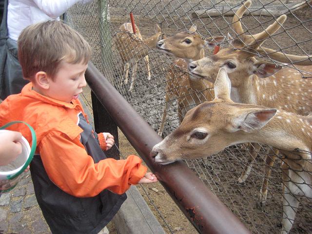 IMG_4135.JPG - Argentinien Buenos AiresZoo