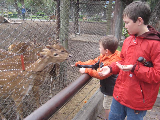 IMG_4139.JPG - Argentinien Buenos AiresZoo
