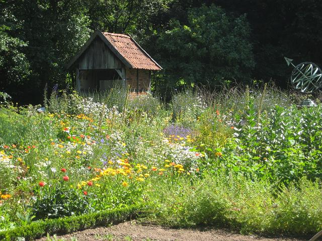 IMG_3439.JPG - DetmoldFreilichtmuseumGräftenhof